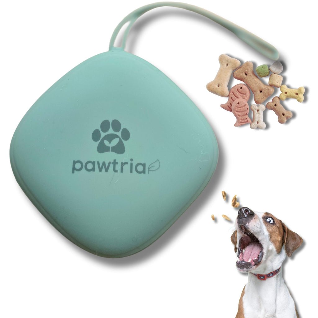 Small Silicone Dog Treat Pouch with Leash Clip, Matte Green