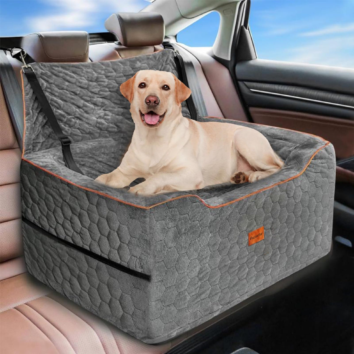 Dog Car Seat Bed for Back Seat with Leash and Pocket, Up to 60 lb, Grey