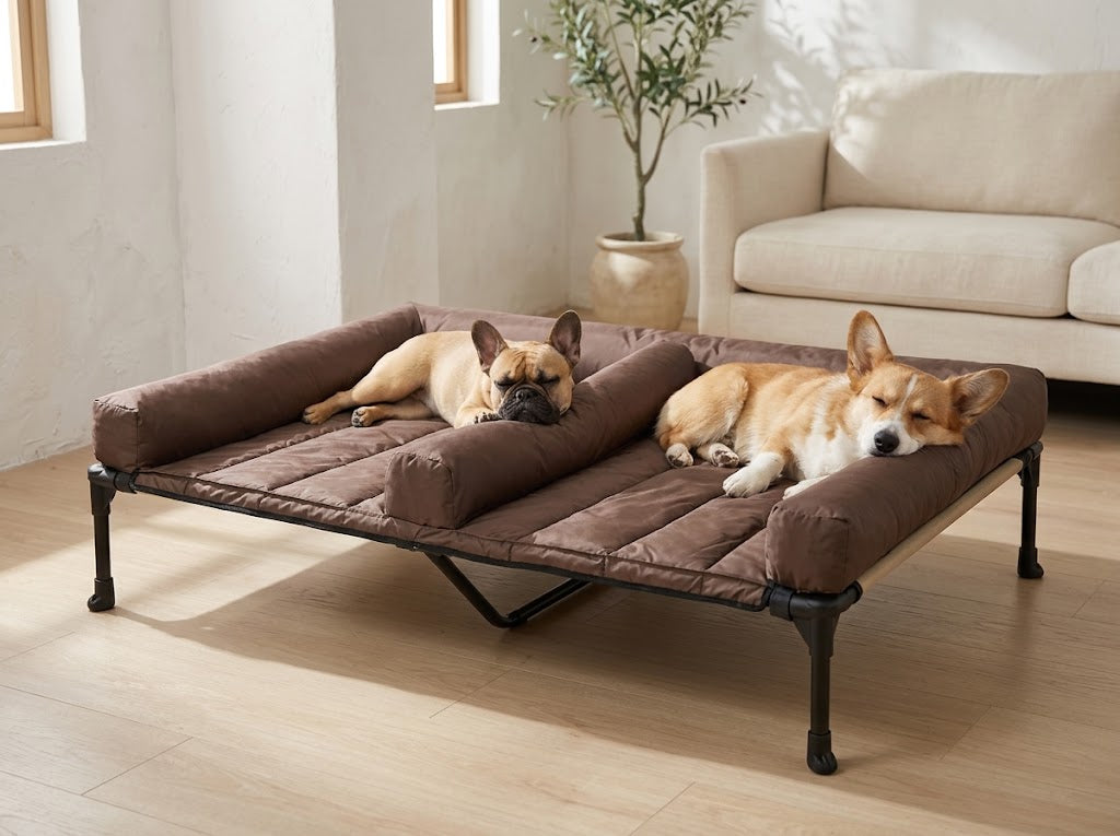 Double Elevated Dog Bed with Removable Bolster Mats, 49 x 33 in