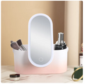 Portable LED Mirror Makeup Organizer, USB Rechargeable, 24.1 cm