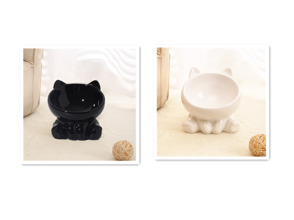 Elevated Tilted Ceramic Cat Bowl with Neck Guard