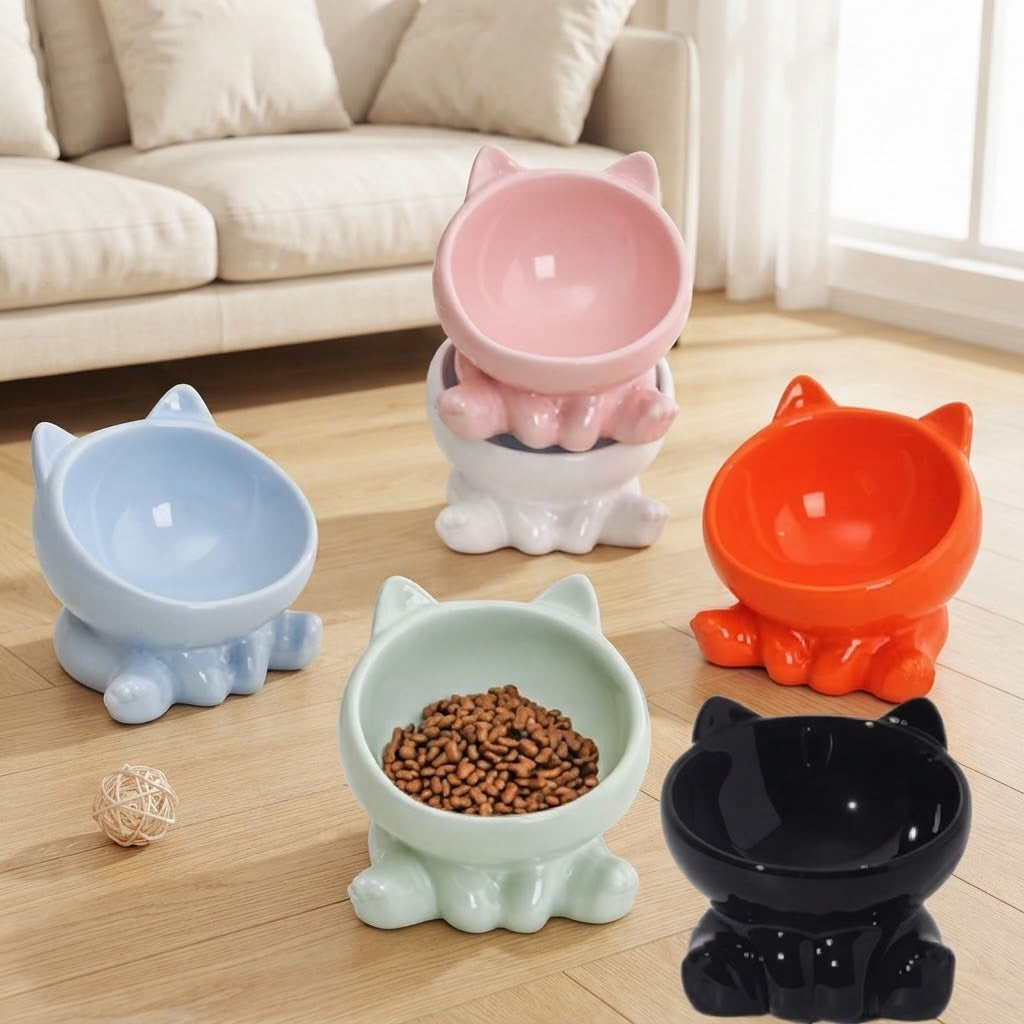 Elevated Tilted Ceramic Cat Bowl with Neck Guard