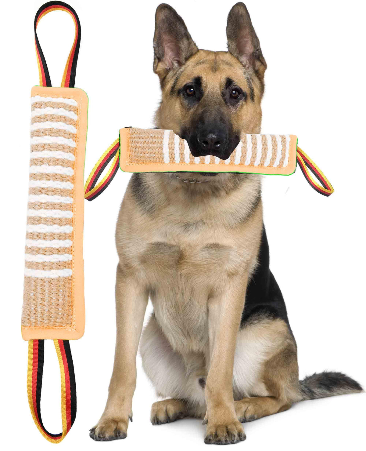 Double-Stitched Dog Tug Bite Pillow with Reflective Handles, Violet