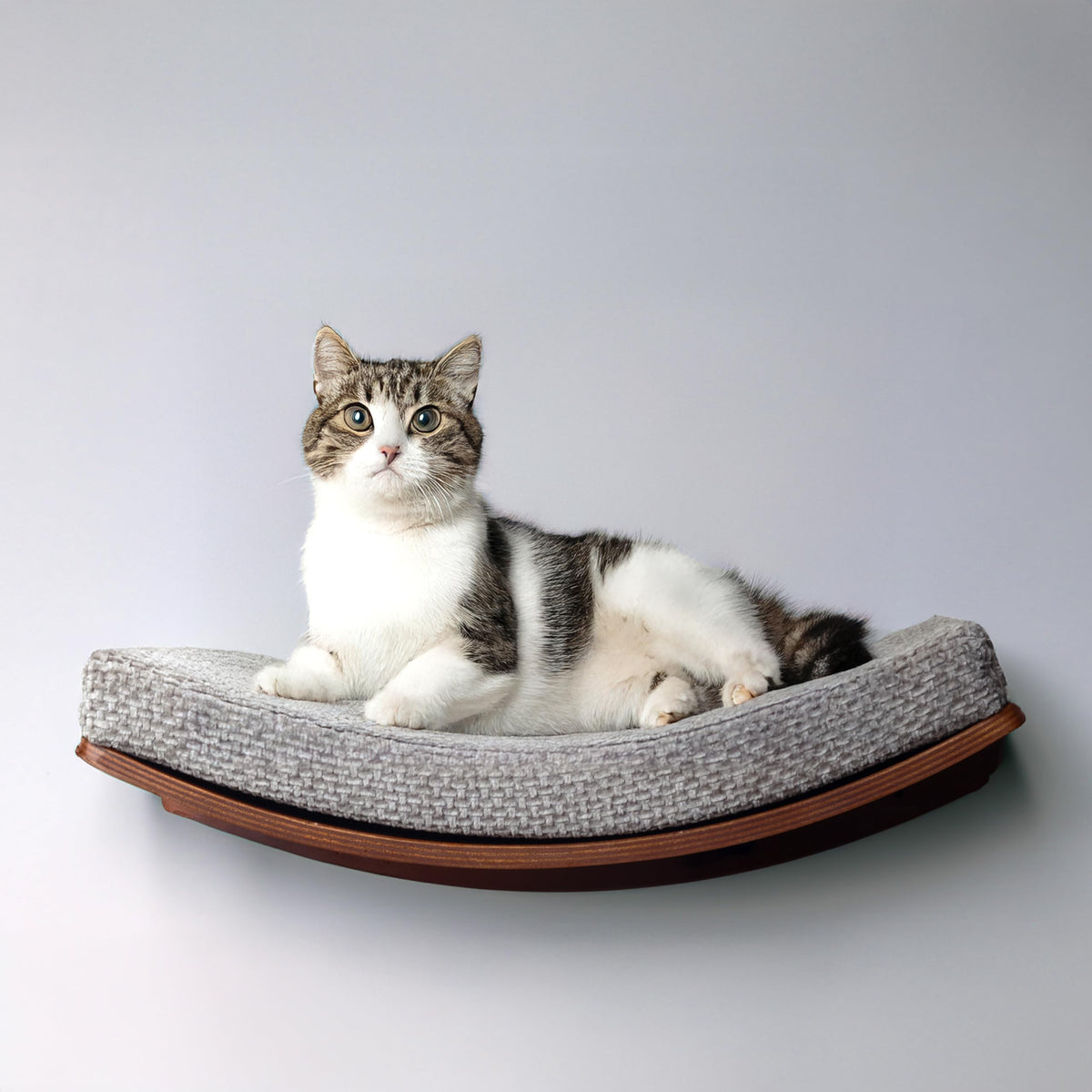 Cat Wall Shelf Set with Curved Perch and 2 Pine Steps, Walnut