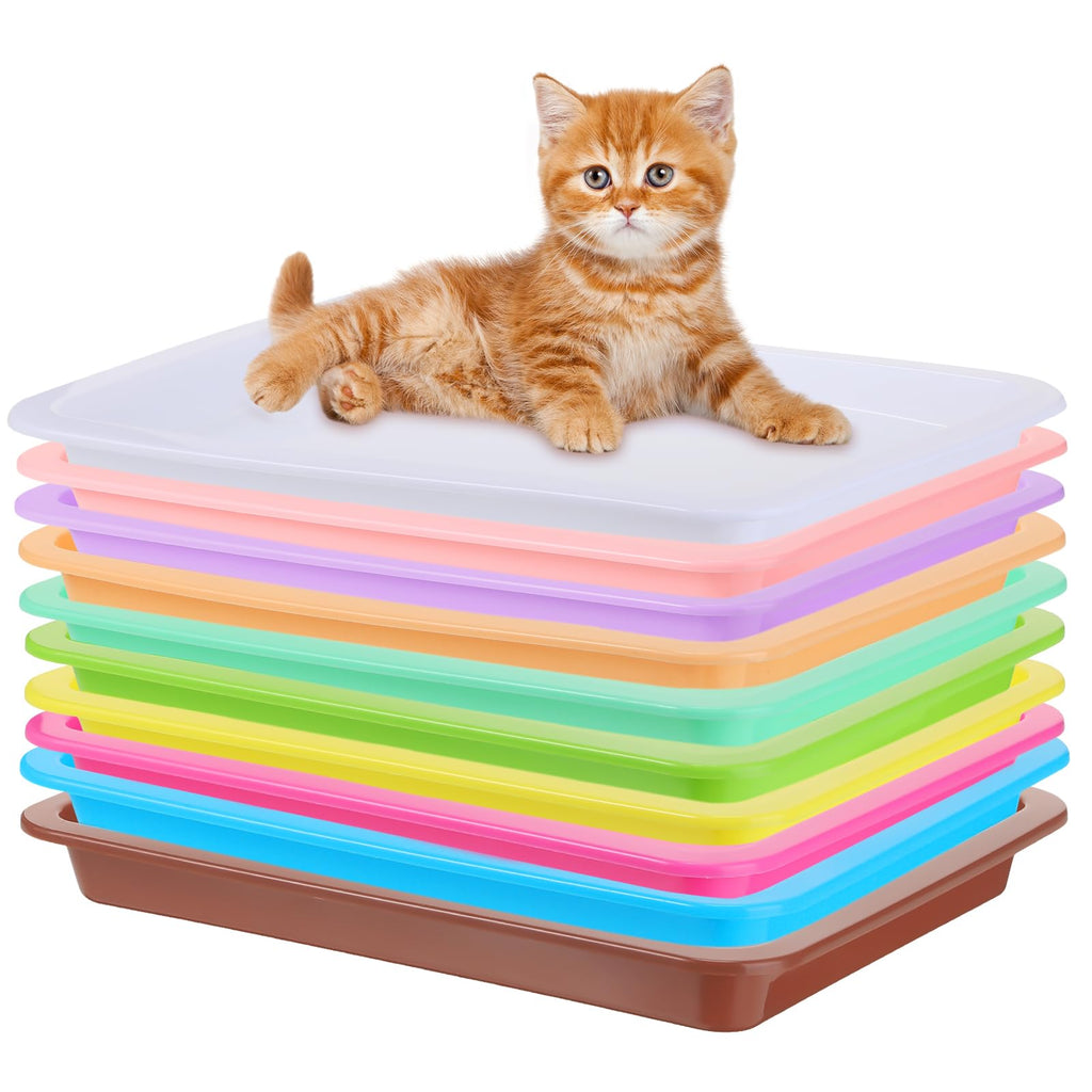 Small Low-Entry Litter Boxes for Kittens and Bunnies, 10 Pack