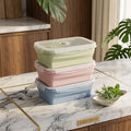 Collapsible Silicone Bento Box Containers, 18.6 oz, Set of 3