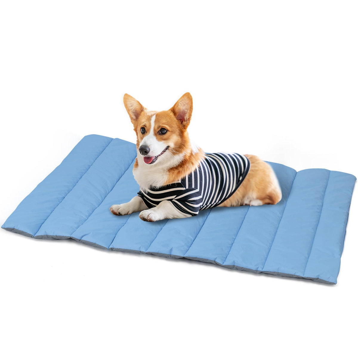 Waterproof Outdoor Dog Bed and Foldable Camping Mat, Blue