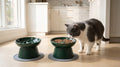 Raised Ceramic Slow Feeder Cat Bowls with Non-Slip Mats, 2 Pack