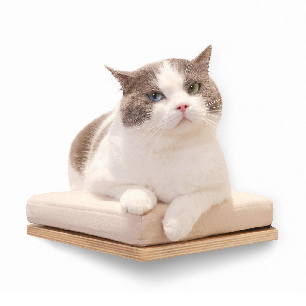 Wall-Mounted Wood Cat Shelf with Cushion, 11.8 x 10.2 in, Walnut