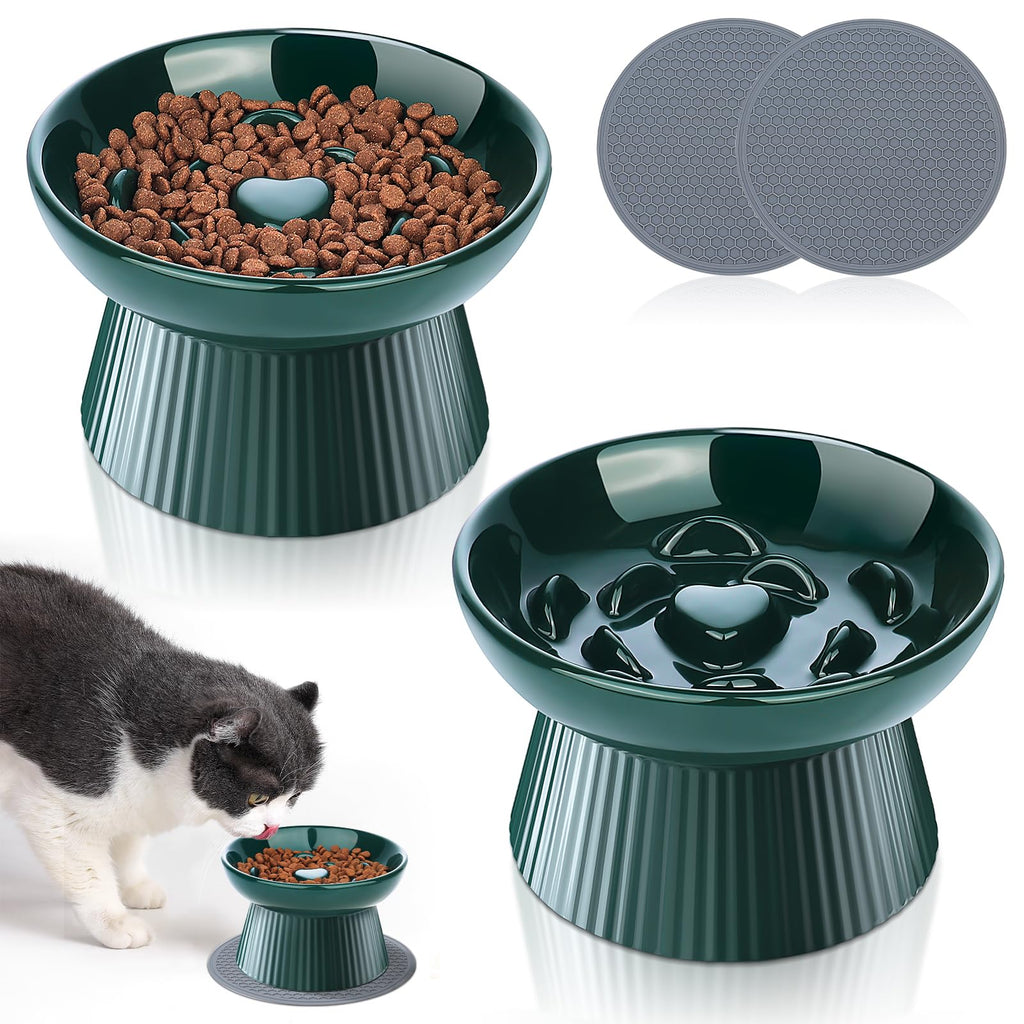 Raised Ceramic Slow Feeder Cat Bowls with Non-Slip Mats, 2 Pack