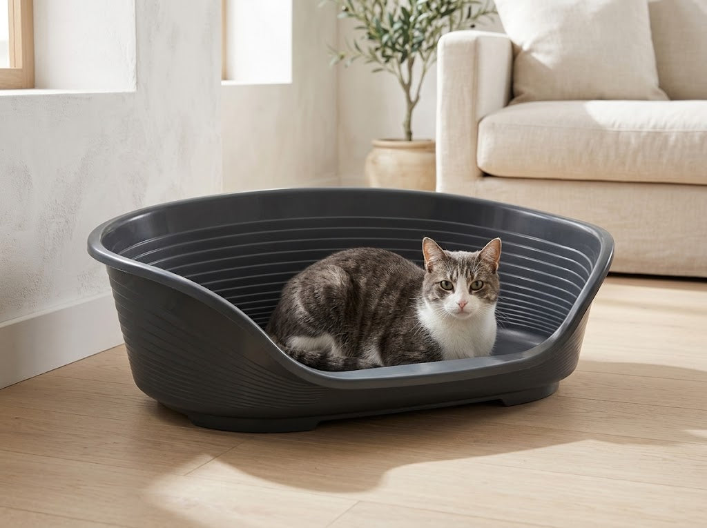 Rounded Plastic Dog and Cat Bed with Anti-Slip Feet, 74 x 48 cm