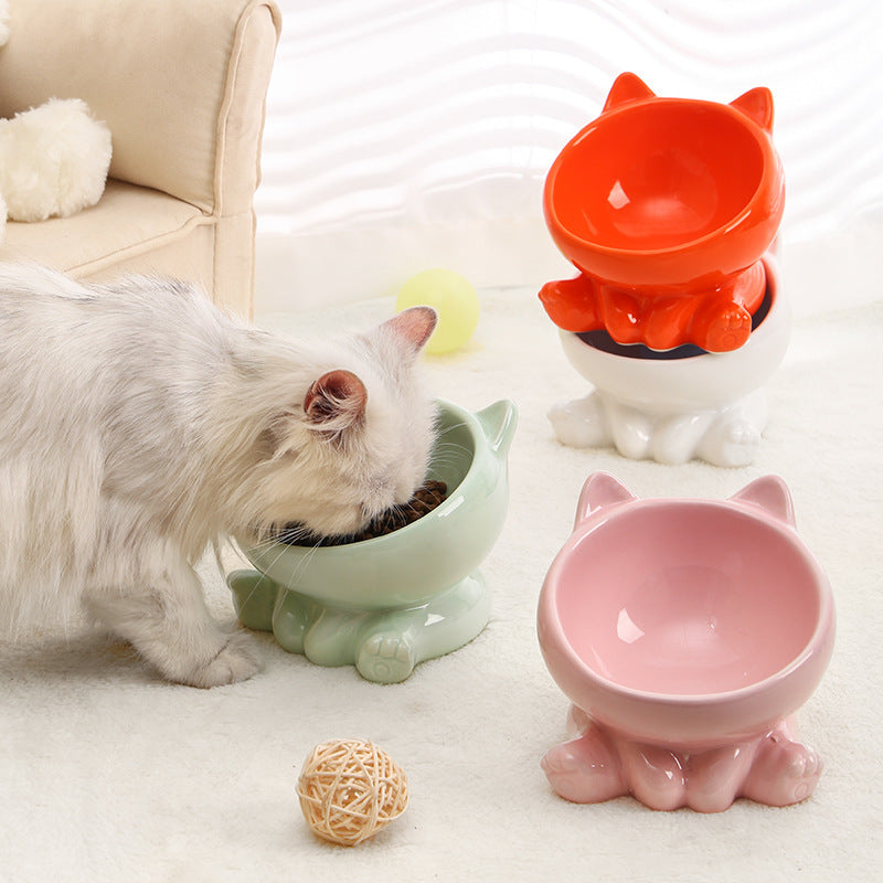 Elevated Tilted Ceramic Cat Bowl with Neck Guard