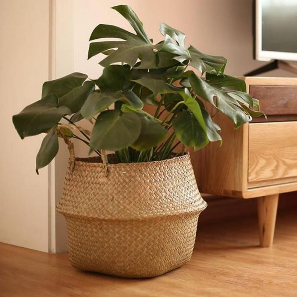Hand-Woven Seagrass Basket with Foldable Handles, Multiple Sizes
