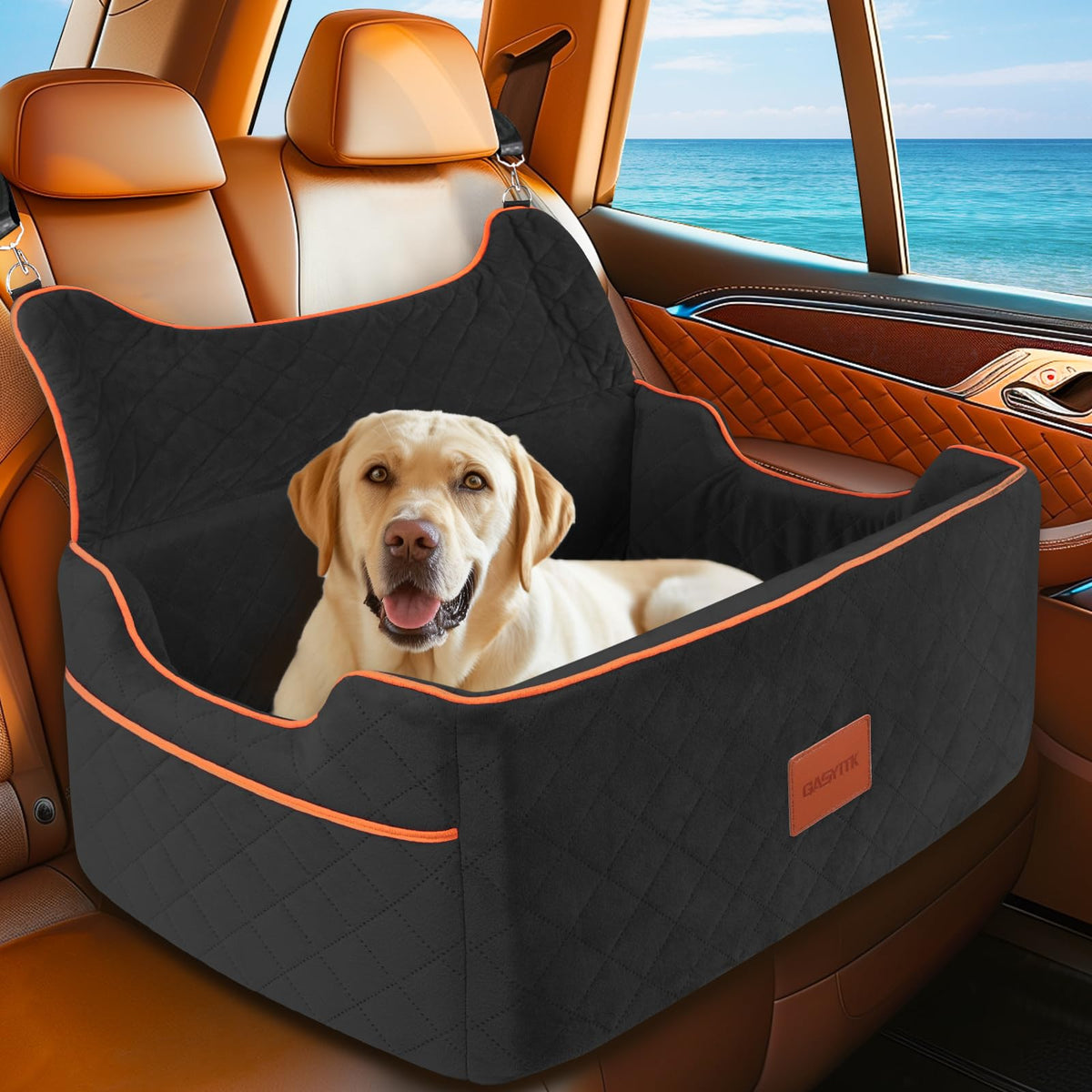 Dog Booster Car Seat with Foam Cushion and Safety Straps, Up to 55 lb