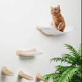 Wall-Mounted Cat Furniture Set with Hammock, Steps and Shelf