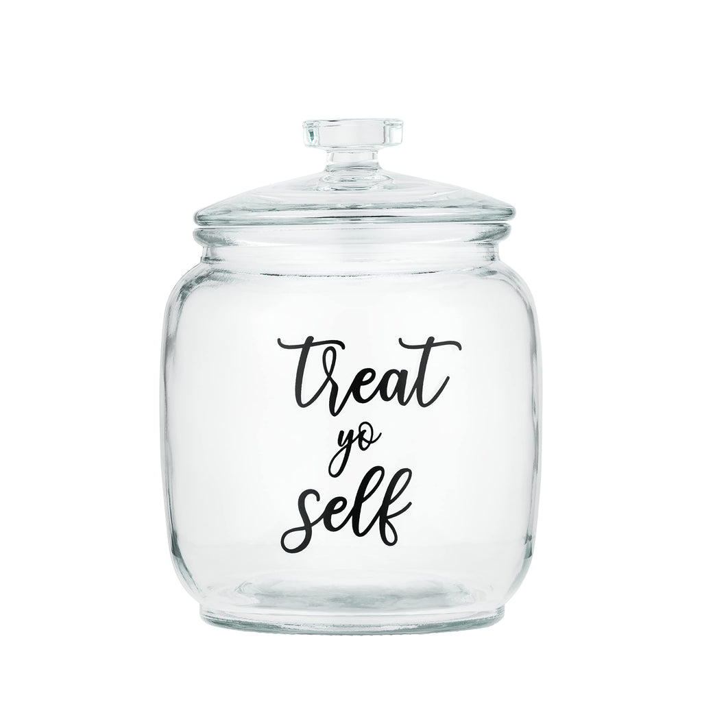 Glass Dog Treat Canister with Airtight Lid, Holds 2 lb