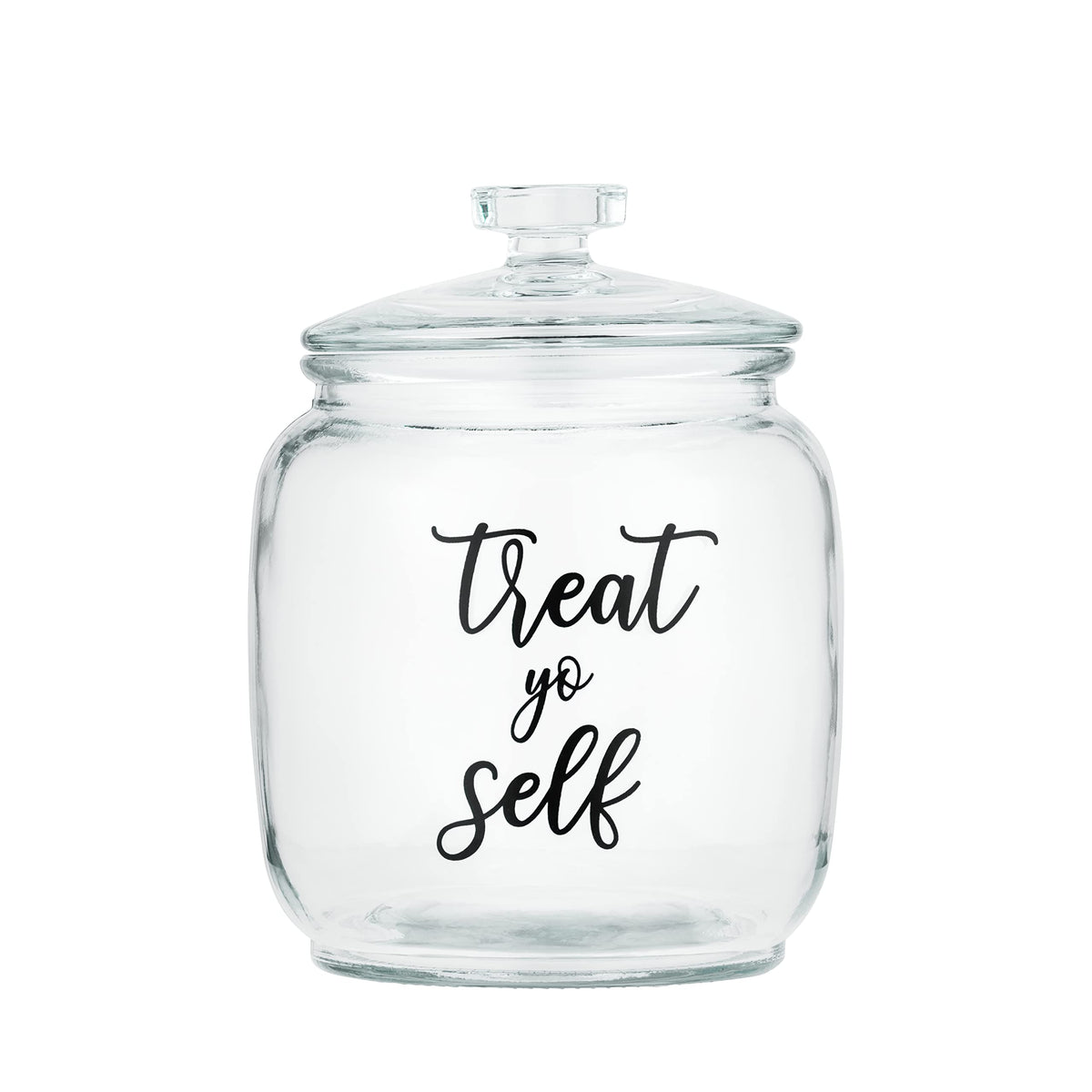 Glass Dog Treat Canister with Airtight Lid, Holds 2 lb