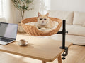 Clip-On Cat Desk Bed with 360° Rotating Clamp, Holds Up to 44 lb