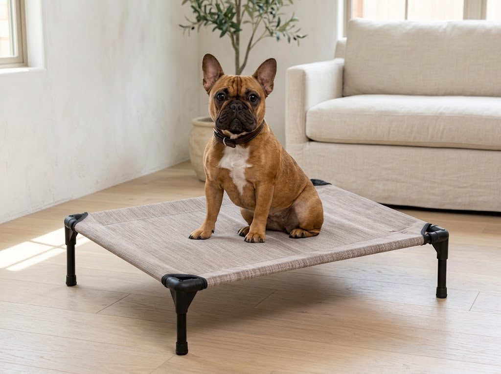 Elevated Dog Cot with Breathable Mesh, Holds Up to 150 lb, 32 in, Grey