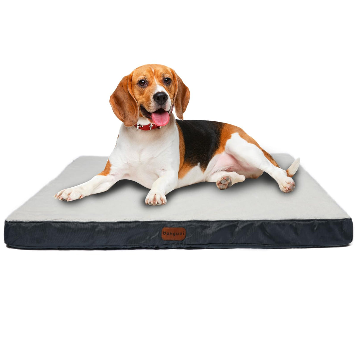 Reversible Dog Bed with Egg Crate Foam, Sherpa and Oxford, Blue and White