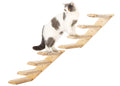 Pine Cat Climbing Shelf Set with 4-Step Stair and 2 Perches