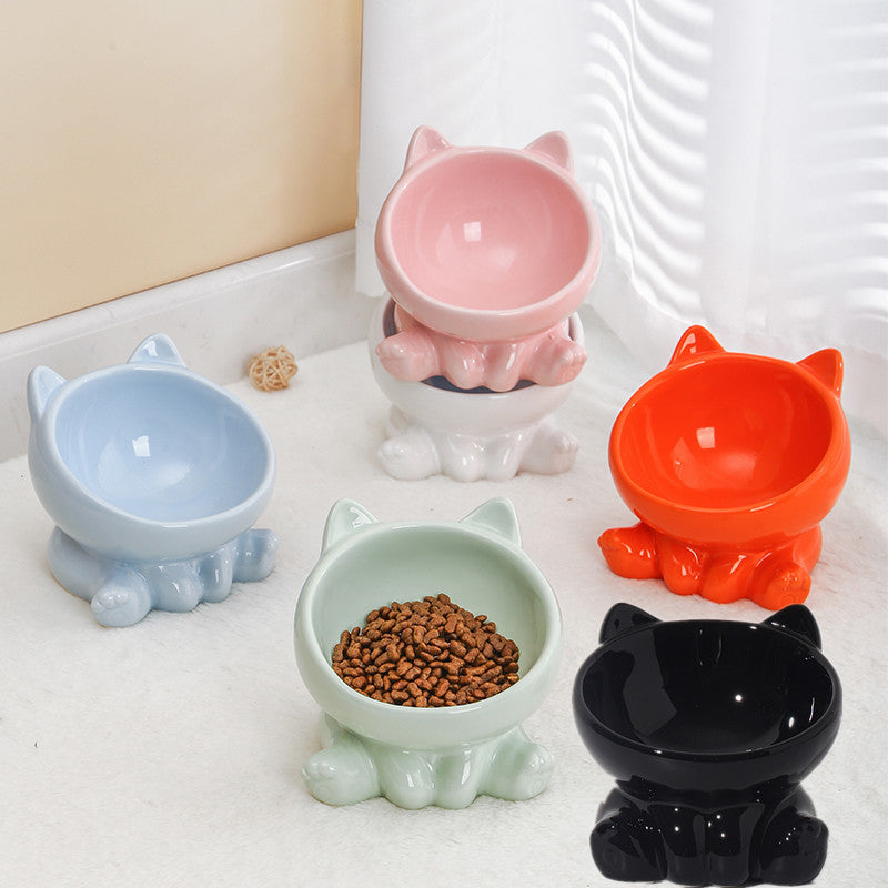 Elevated Tilted Ceramic Cat Bowl with Neck Guard