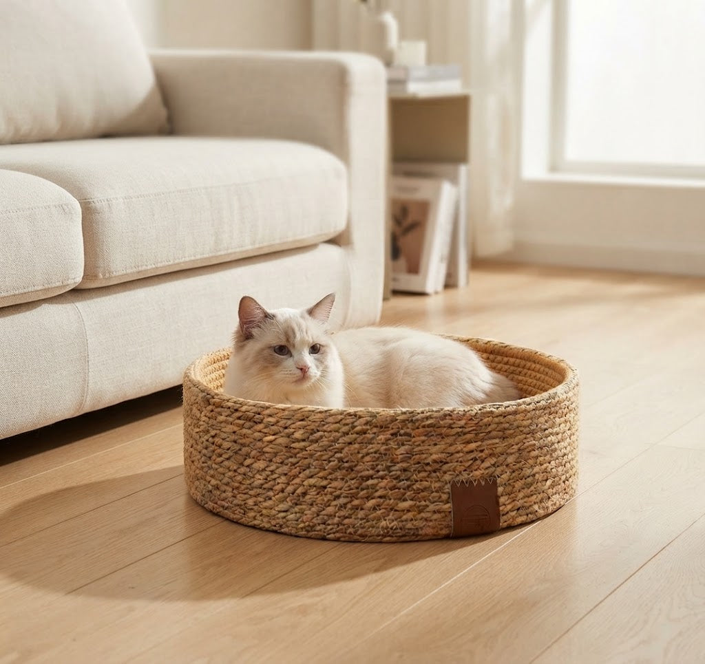 PE Rattan Cat Bed and Scratch Board with Rope Nest