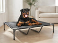 Elevated Dog Cot with Teslin Mesh and Steel Frame, 49 x 33 x 9 in