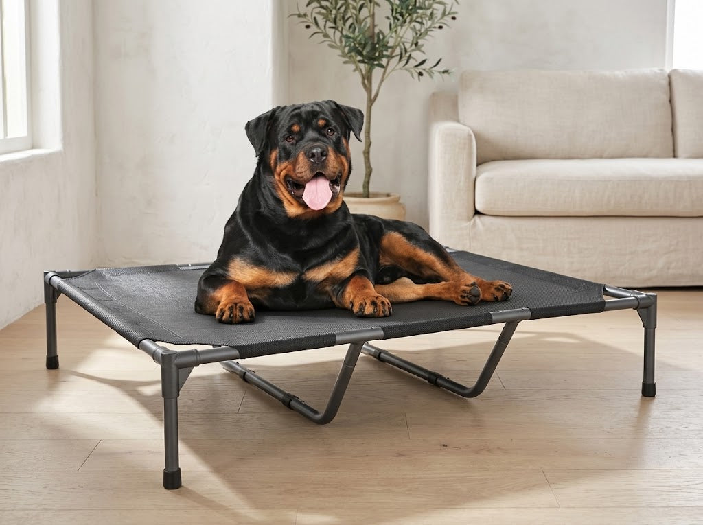Elevated Dog Cot with Teslin Mesh and Steel Frame, 49 x 33 x 9 in