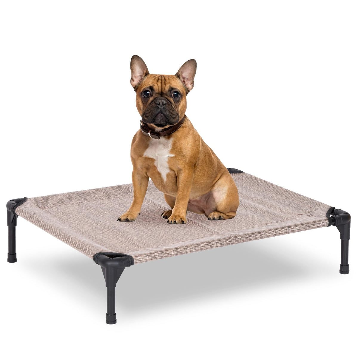 Elevated Dog Cot with Breathable Mesh, Holds Up to 150 lb, 32 in, Grey