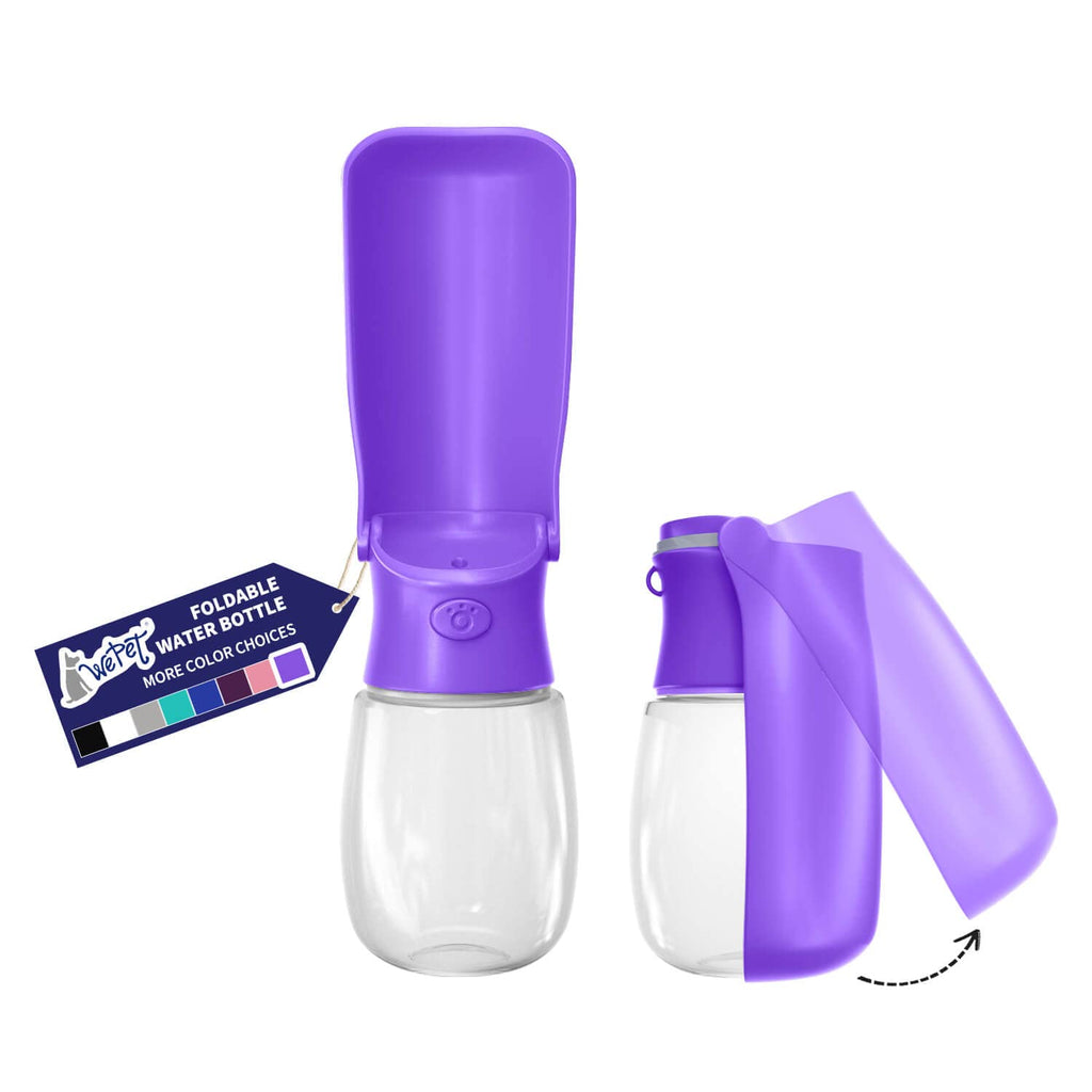 Foldable Dog Water Bottle with Drinking Feeder, 12 oz