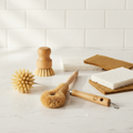 Bamboo Dish Brush Set with Wood Pulp Sponges, 5-Piece